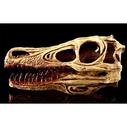 Wild fox skull model Animal model Resin Skull blood heteromorphic head crafts statue home decoration