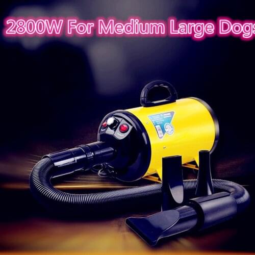 Чесалки для кошек FGHGF China At AliExpress