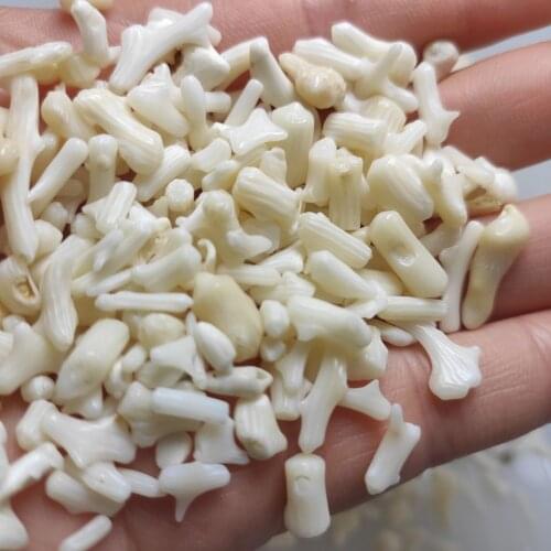 100g Natural White Coral Crystal Beautiful Gravel Rock Quartz Raw Gemstone Mineral Specimen Natural Stones and Minerals