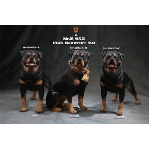 Mr. Z MRZ055 1/6 Scale Rottweiler Resin Dog Animal Statue Collectible Scene Props Accessories In Stock
