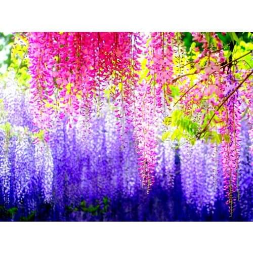 Leaf Leaves Colorful Nature backdrop High quality Computer print party background