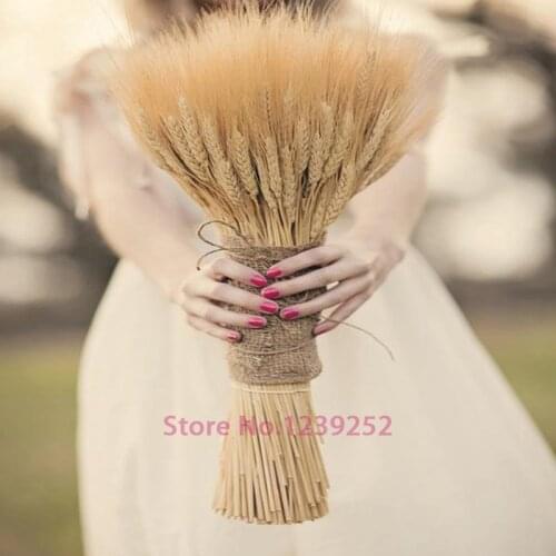 New 100 pcs Natural Dried Flowers Decorative Flowers Wheat Ear Bouquet Dried Branches for Wedding decoration