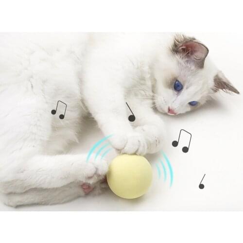 Smart Cat Toys Interactive Ball Catnip Cat Training Toy Pet Playing Ball Pet Squeaky Supplies Products Toy For Cats Kitten Kitty