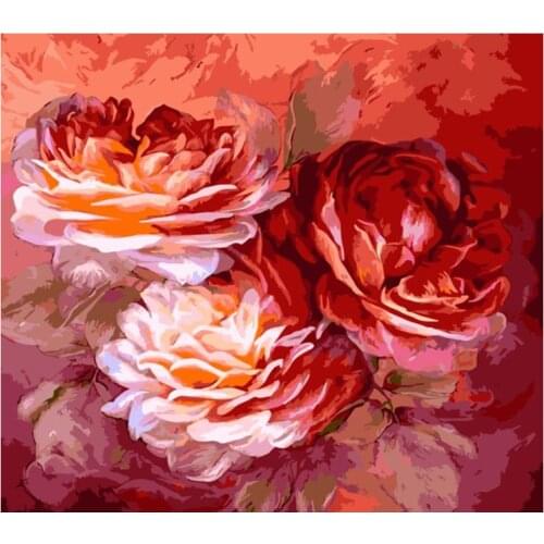 Bright Peony red Flower DIY Oil Painting By Numbers Modern Wall Art Canvas Painting Child Gift for children Home Decor Frame