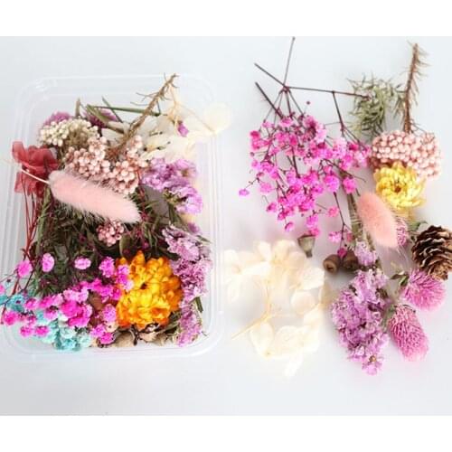 Dried Flower Dry Plants For Aromatherapy Candle Epoxy Resin Pendant Necklace Jewelry Making Craft DIY Accessories