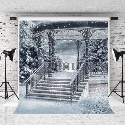 VinylBDS Snow Winter Photography Backdrop Gallery Portrait Backgrounds For Photo Studio Christmas Studio Backdrop
