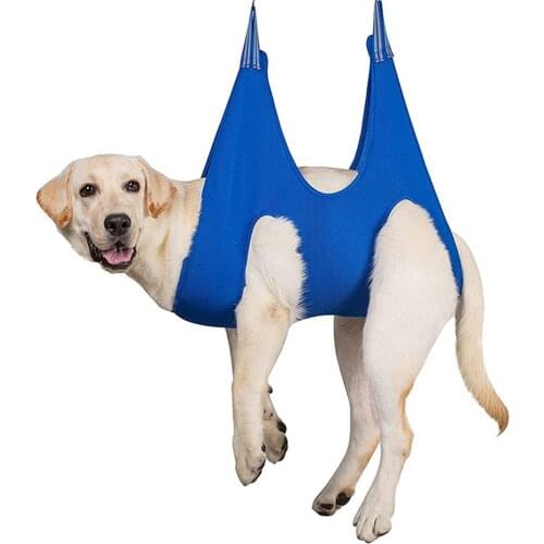 TINGHAO Houses For Dogs