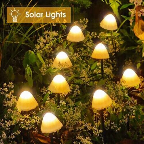 Dysaim Solar LED Lights
