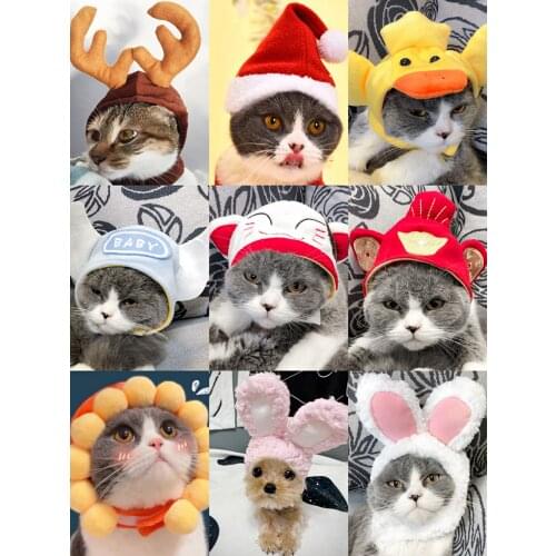 Cats Pet Headdress Cute Cats Teddy Holiday Dress up Sun Trick Fortune Deaddress Wig Cat Headgear Hat Cats Cap