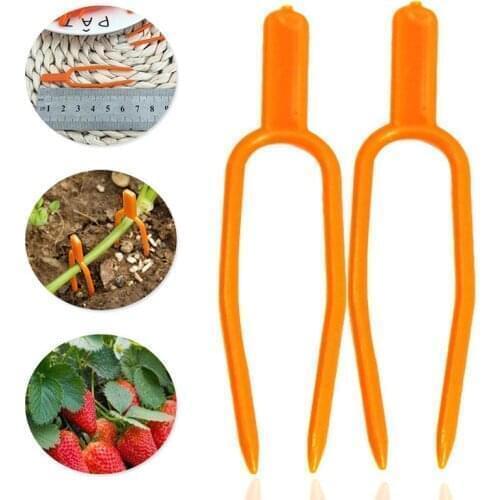 50Pcs Plastic Plant Clips Plant Climbing Support Clips Garden Fixing fastening Fixture Clamp Watermelon Strawberry Vines Supply