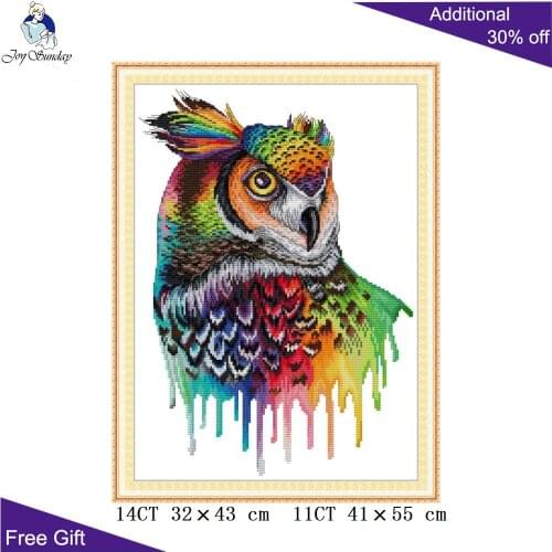 Joy Sunday Rainbow Owl DA478 14CT 11CT Counted and Stamped Colorful Owl Home Decor Embroidery DIY Cross Stitch kits