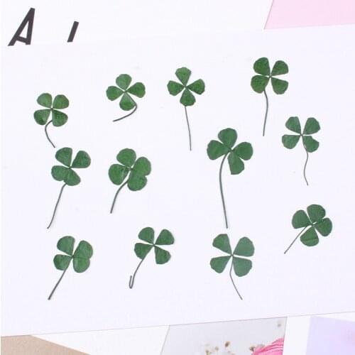 12pcs 1-1.5cm Real Press flower dried flower Four Leaf Clover natural Flower Stickers DIY Resin Jewelry Making