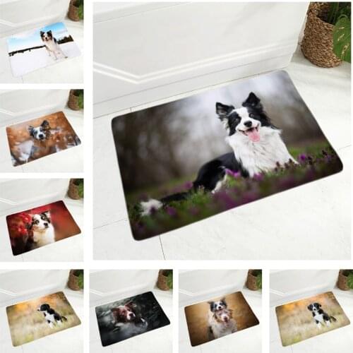 Scotland Border Collie Dog Doormat Decor Pet Animal Floor Door Mat Non-Slip Soft Flannel Carpet for Hallway kitchen Room 40x60cm