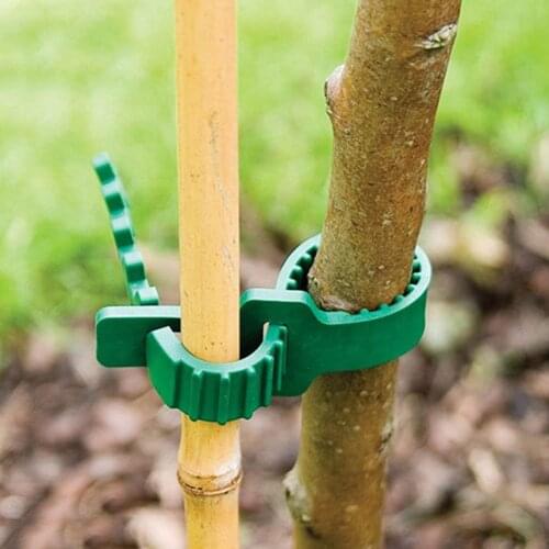 2/10/12pcs Reusable Plant Cable Ties Adjustable Tree Climbing Support Garden Horticulture Planting Supplies Grafting Clips