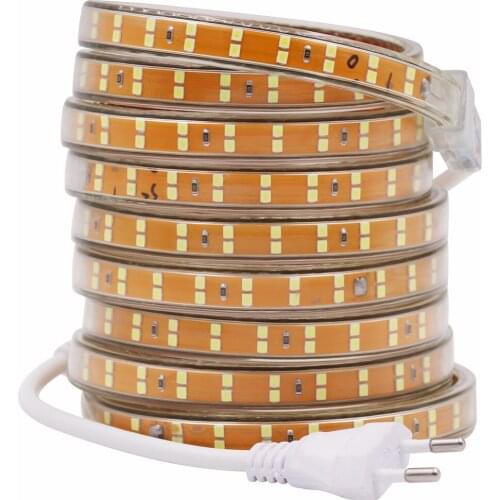 SMD 2835 led strip 220V 240V 156leds/m Waterproof led tape rope Warm White/Red/Blue Stripe 5m 10m 15m 20m 50m 100m EU power plug