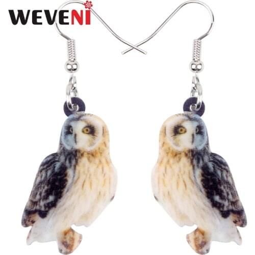 WEVENI Acrylic Unique Northern Saw-whet Owl Bird Earrings Big Long Dangle Drop Novelty America Animal Jewelry For Women Girls