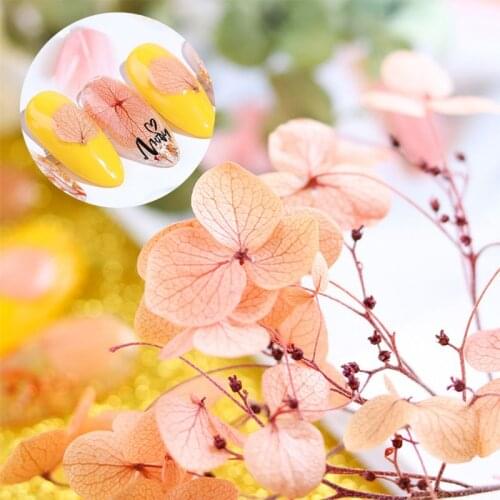 Dried Flowers DIY Epoxy Resin Handmade Crafts Filling Materials