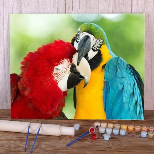 Parrot Bird Animal Painting By Numbers Kit Oil Paints 50*70 Paiting By Numbers Decoration For Kids For Drawing Handicraft