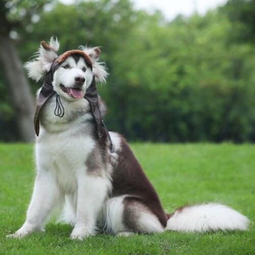 Pet Dogs Autumn Winter Cashmere Hat Puppy Warm Comfortable Handsome Poilt Cap Easy on