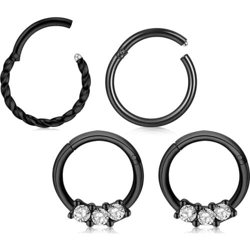 16G Daith Earrings Hoop 4 Pcs Stainless Steel CZ Hinged Segment Daith Clicker Septum Rings Ear Helix Cartilage Piercing