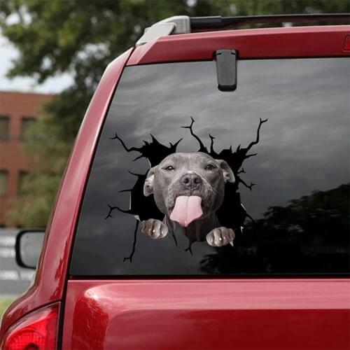 1PC Pig Crack Car Sticker Dog Animals Pet Funny Puppy Lover Decorations Home Decoration Decal Decor Party Window Paste Stickers