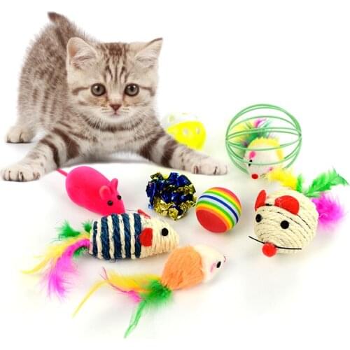 Paercute Products For Cats