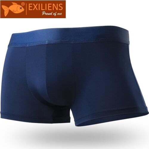 EXILIENS Silk Boxer Men Underwear Cueca Masculina Ropa Interior Hombre Mens Boxers Boxershorts Man Calzoncillos Homme Size L-4XL
