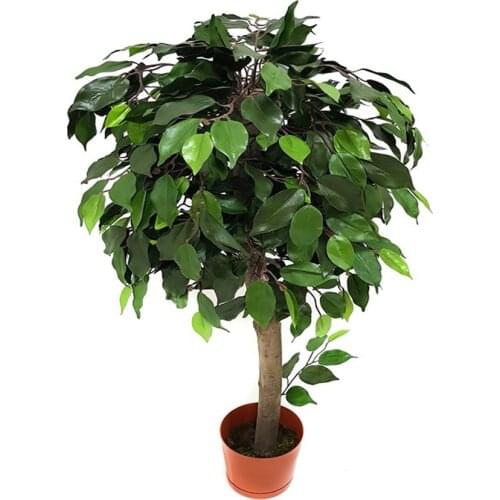 Holodilova Artificial Trees