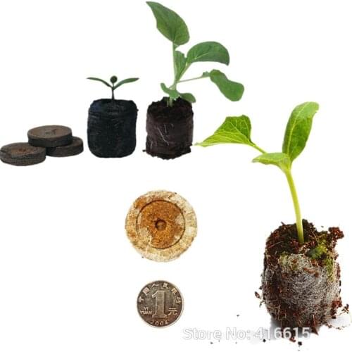 20 Count 25mm Nursery Block Peat Pellets for Garden Flowers Planting Green Thumb Seedling Soil Block for Seedling Cultivation