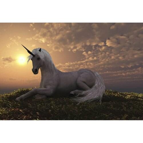 Dusk And Sunset Photography Background White Unicorn And Clouds Green Lawn Backdrop For Youtube Videos Photo Studio Booth Props