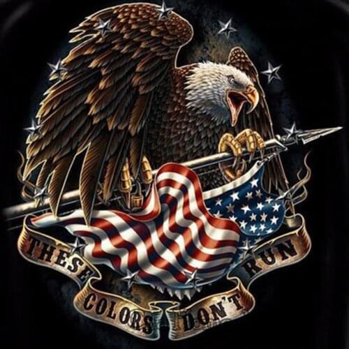 Eagle animals 5D Diy Diamond Painting Mosaic frog 3d Cross Stitch kits wedding Decor Embroidery pattern wall stickers RA2014