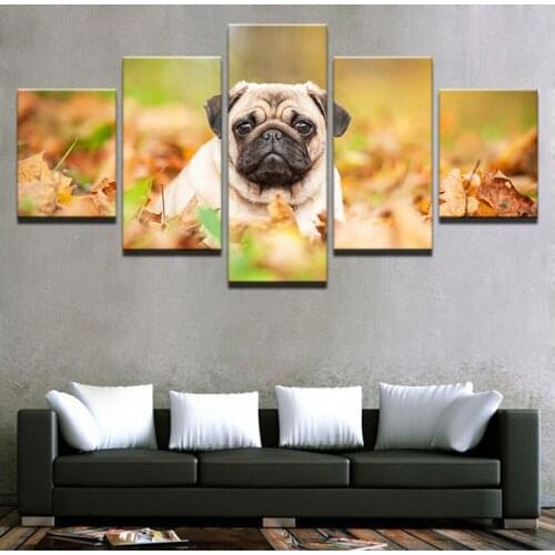 Full,square Diamond Embroidery bulldog,5D,diy,Diamond Painting 5pcs,picture,Cross Stitch,Diamond Mosaic,Factory Free Shipping