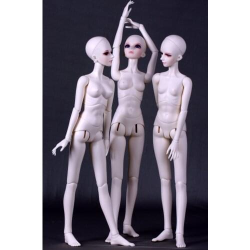 [wamami] Angel Of Dream 1/4 1/3 Female AOD Girl Nude Body BJD Doll Dollfie (Without Head)
