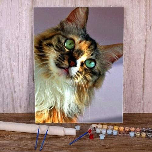 Animal Cat DIY Paint By Numbers Package Acrylic Paints 50*70 Canvas Painting Home Decor Crafts For Adults Handiwork