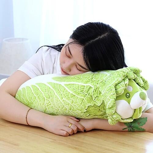 Cute Vegetable Fairy Plush Toy Japanese Cabbage Dog Fluffy Stuffed Animals Dog Soft Doll Shiba Inu Pillow Baby Kids Toys Gift