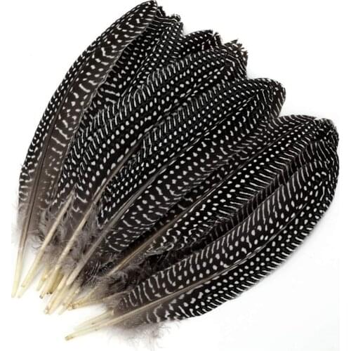 Hot sale 10-100pcs Natural Spotted Pheasant Feather 15-20cm DIY Jewelry Clothing and Hat Decorations Plumas Feathers for Crafts