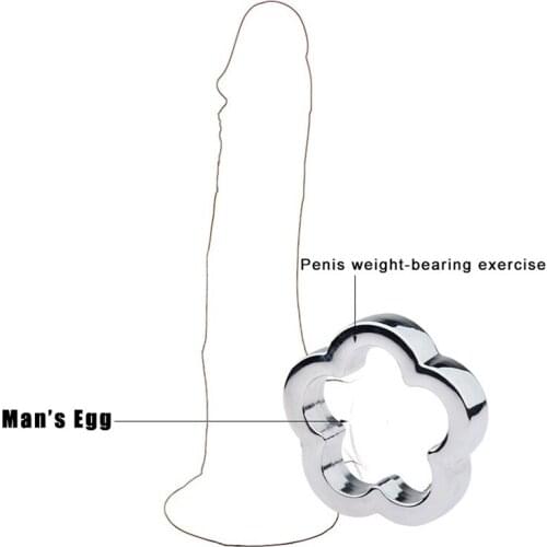 Plum-shaped Sex Toys For Male Penis Cock Ring Heavy Duty Weight Metal Ball Stretcher Scrotum Delay Ejaculation BDSM Sex Toy Men