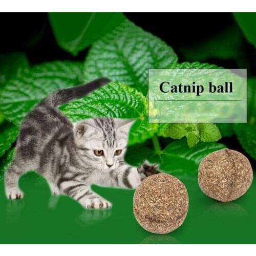 Natural Catnip Toys For Cats Crazy Healthy Cat Toys For Kitten Edible Treating Cleaning Teeth Cat Supplies Pet Toy Pet Products