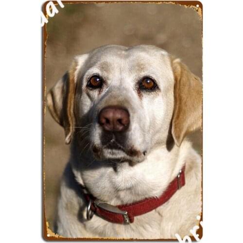 Yellow Lab Metal Signs Club Party Garage Club create Wall Decor Tin sign Posters