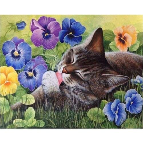 Full Square Diamond Painting Kits Orchid Cat Mosaic Embroidery Picture Crystal Rhinestones Stickers Decal Wall Art Craft Gifts