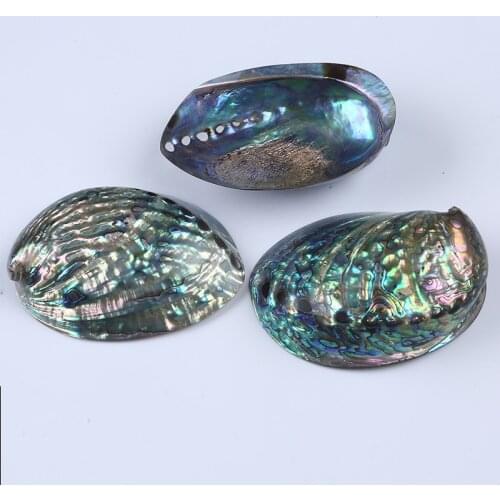 Natural New Zealand Abalone Shell Soap Dish Seashell Home Decoration Materials