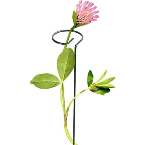 Round Shape Plant Stem Support Wire Hoop Potted Stent Metal Plant Stand Tool Support Ring Cage Garden Iron Plant Border