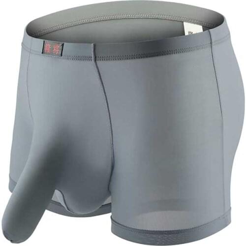 Men Underwear Men Boxer Mesh U Pouch Sexy Underpants Cueca Mesh Nylon Pants Trunks Boxer Shorts Gay Male Panties Hot