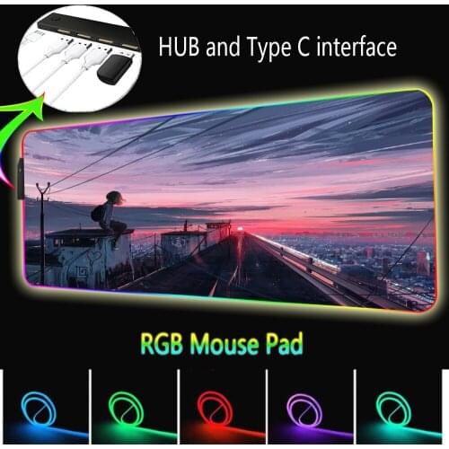 Mausepad Anime RGB with USB Hub 4 Ports Laptop Gamer LED Backlight Game Rug Mouse Pad Mouse Computer Gamer 400x900mm Pompompurin