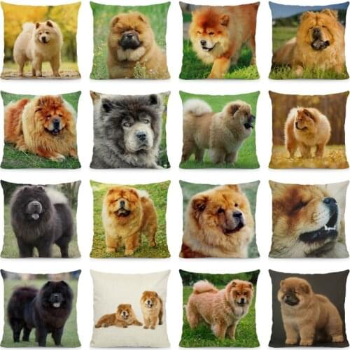 XUNYU Cute Chow chow Cushion Cover 45x45 Decorative Pillow Cases Home Decoration DWG029