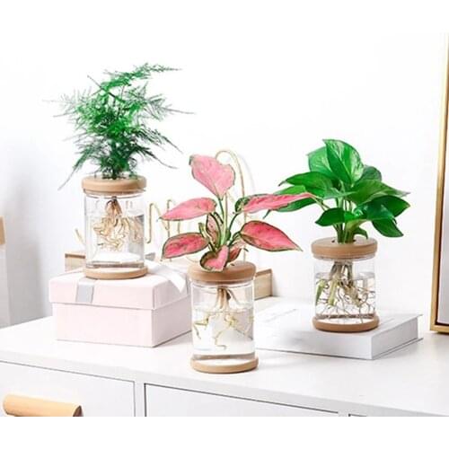 L-BEANS Flower Pots