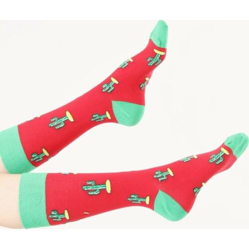 3 pair from turkey high quality cotton happy socks men Mens summer lot pack wholesale socs design red green cactus plant herb