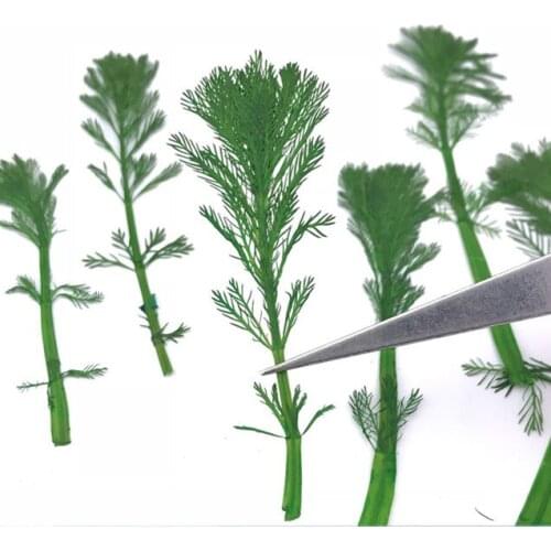 12pcs/8-10cm,Natural Pressed shousong Pine Leaf,Dyed Green plant Bookmarks Material DIY Card Flower Paintings Accessories