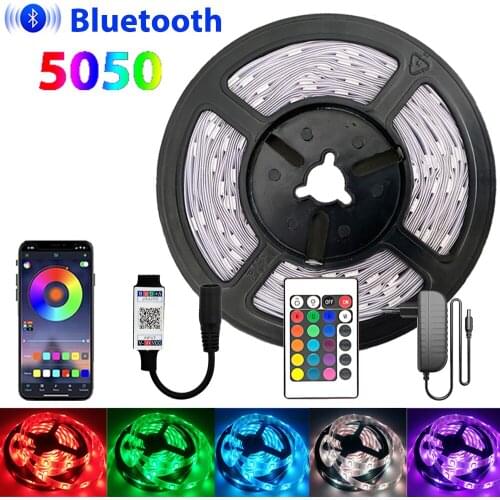 5050 LED Strip RGB Led DC 12V Waterproof 24Key Bluetooth Control Flexible Light for Home Decoration Living Room Festoon Lights