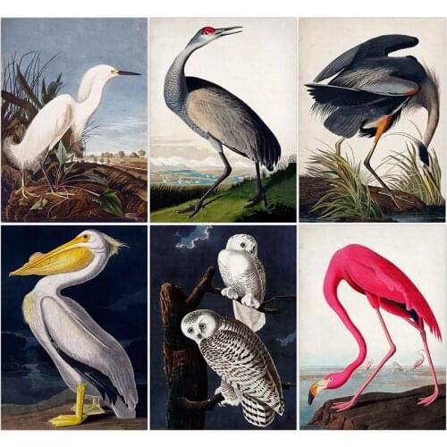 Vintage Bird Audubon Bird Posters Pink Flamingo Snowy Owl Blue Heron White Egret Painting Wall Art Kraft paper
